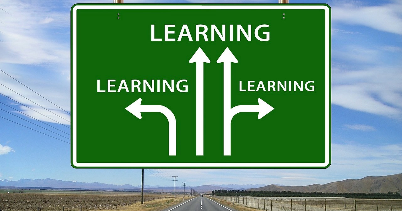 learning-is-the-work