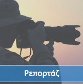 Daily TV ~ Ρεπορτάζ